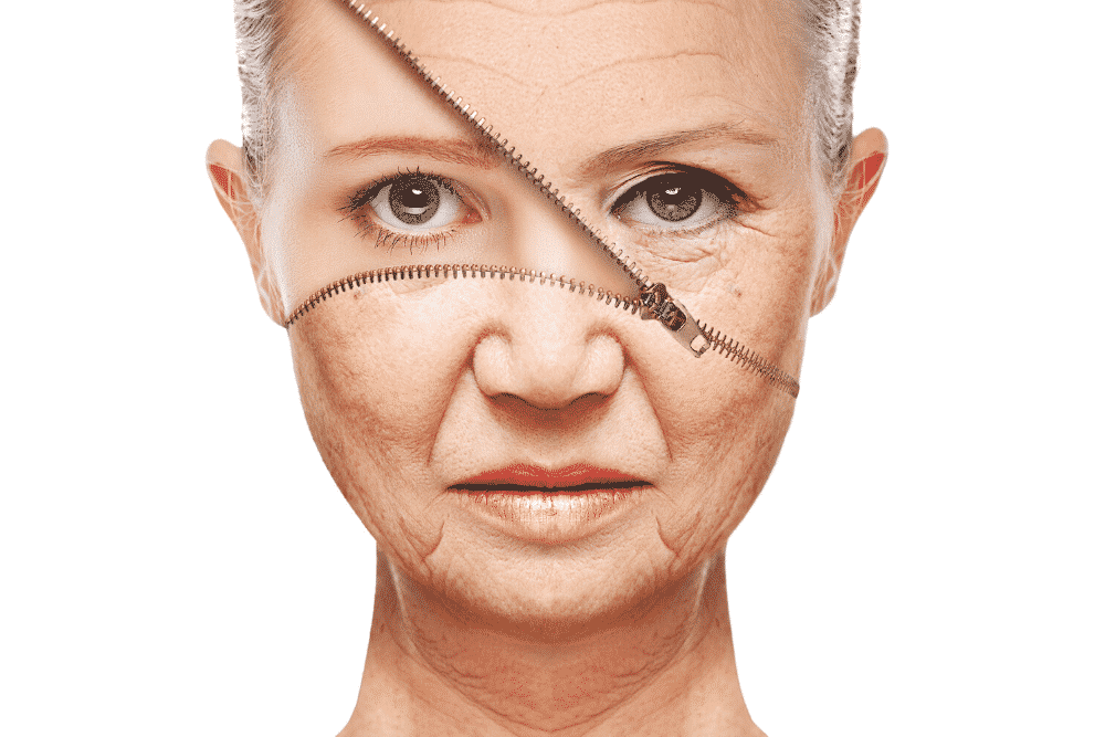 80% dos fatores que influenciam o envelhecimento não são genéticos, aponta estudo