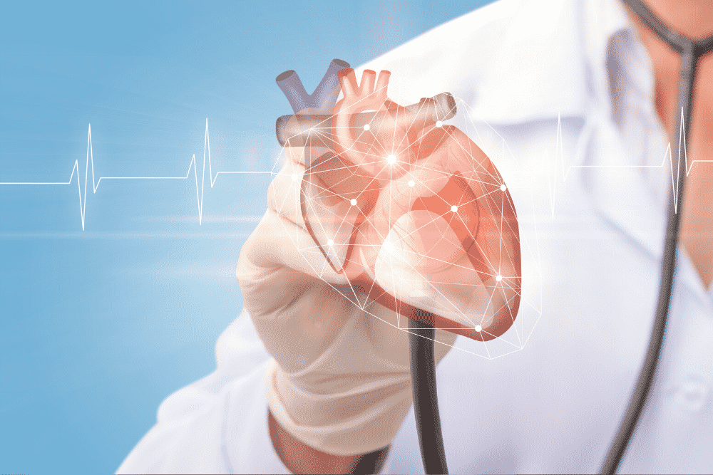 A saúde do intestino influencia no coração?