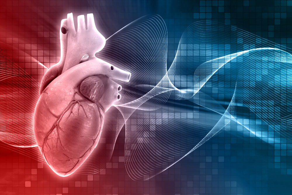 Estatinas e doenças cardiovasculares: será que são eficientes?