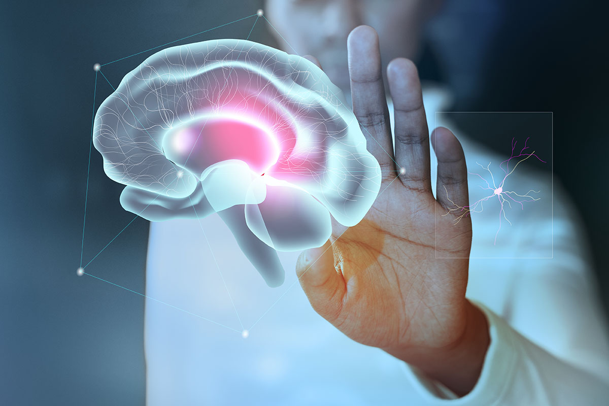 Quais os impactos da doença de Alzheimer no cérebro?