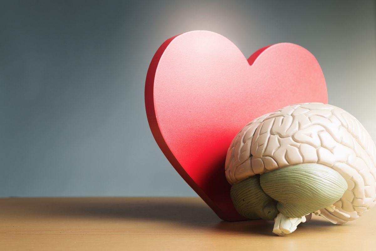 O papel da inteligência emocional no equilíbrio hormonal e envelhecimento saudável